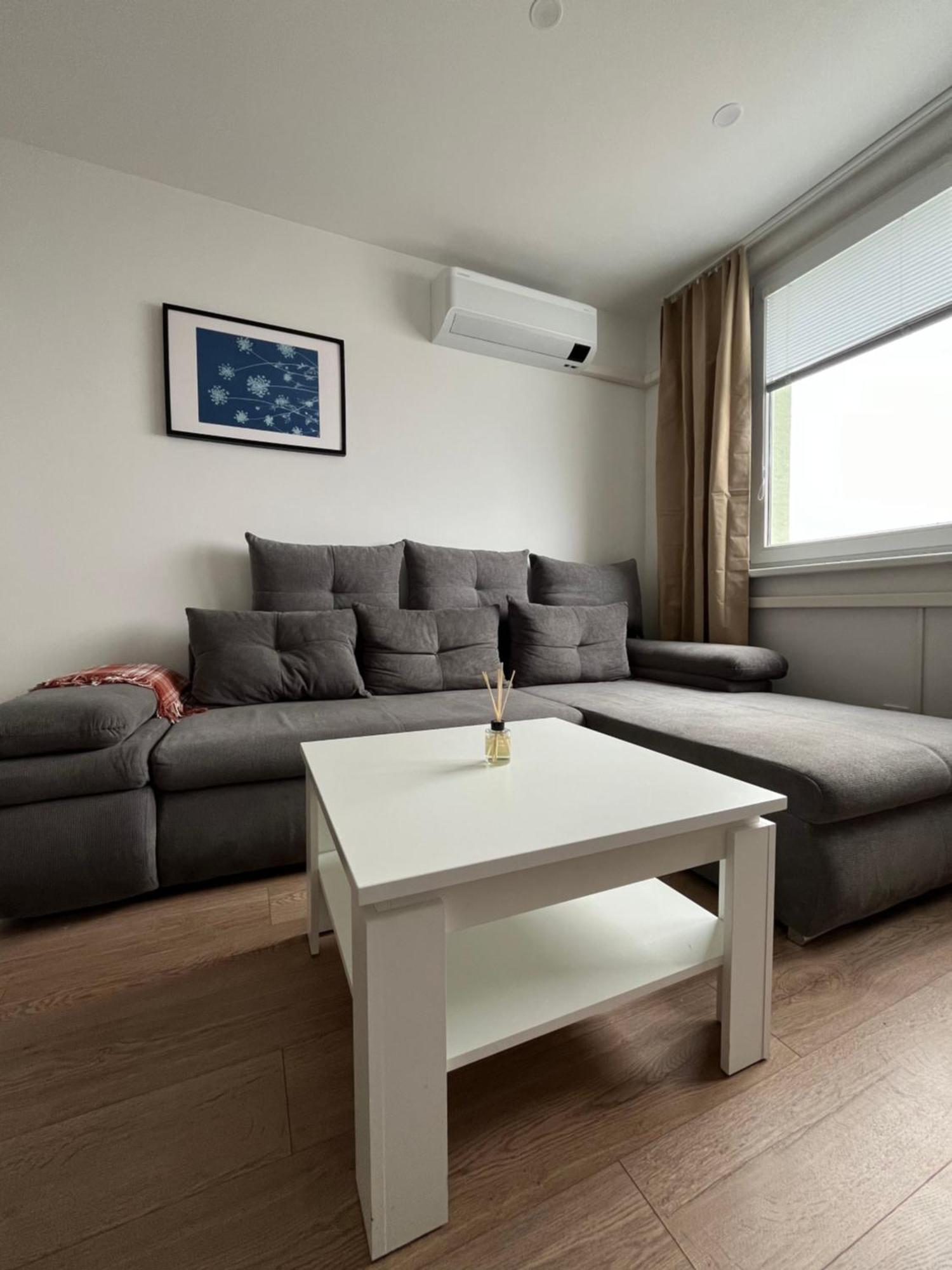 Elegant Escape Apartment III - Free Parking, Easy Access To City Center 布拉迪斯拉发 外观 照片